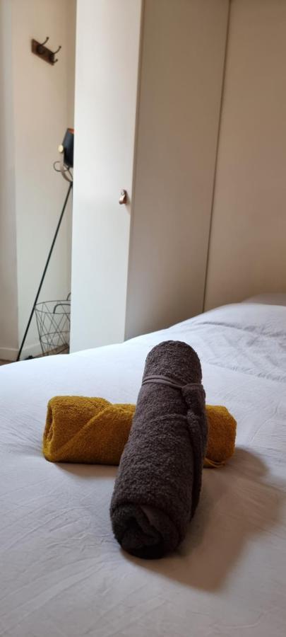 Appartement Studio En Rdc - Quai De Garonne - Capitole - Wifi à Toulouse Extérieur photo